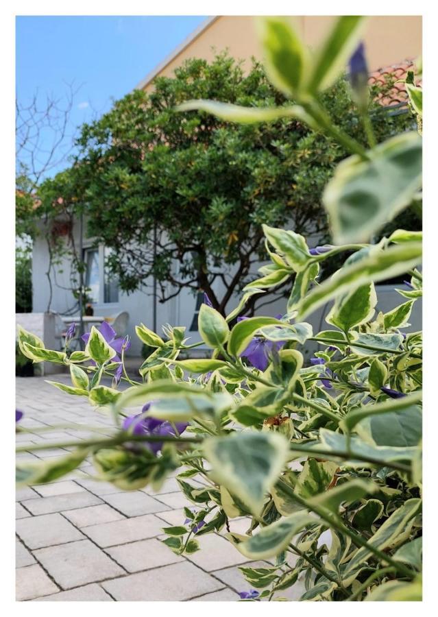 House Old Town Trogir Villa ภายนอก รูปภาพ